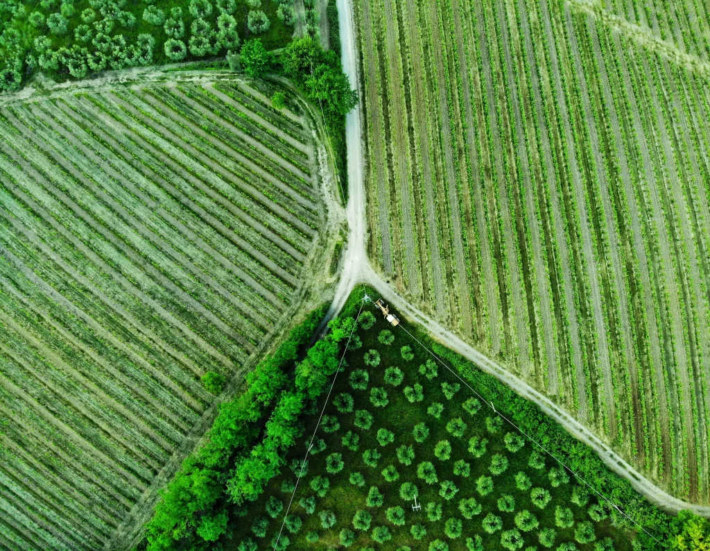 Illustrative agribusiness infrastructure