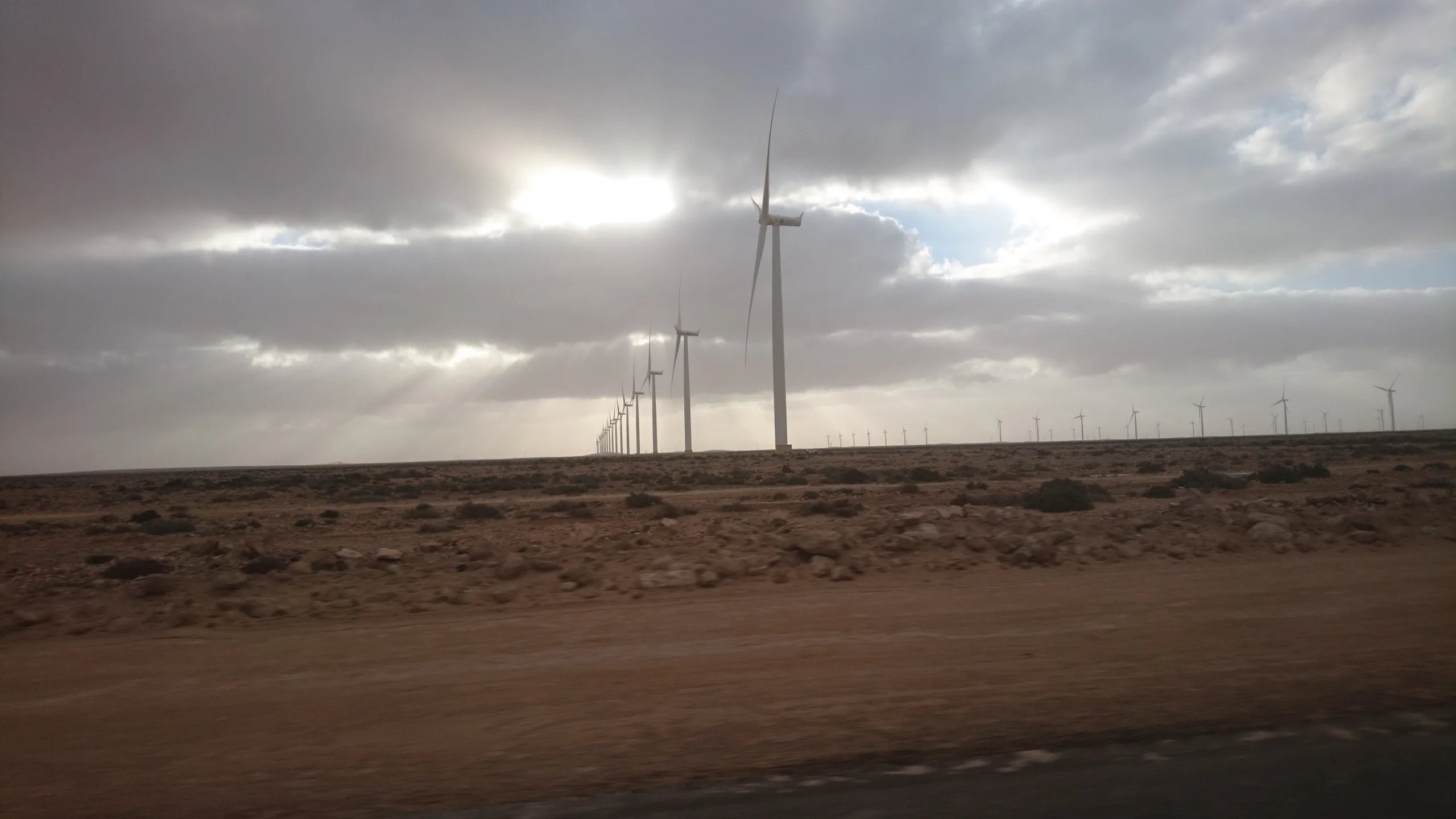 Photograph of wind turbines at Tarfaya Wind Farm, Morocco